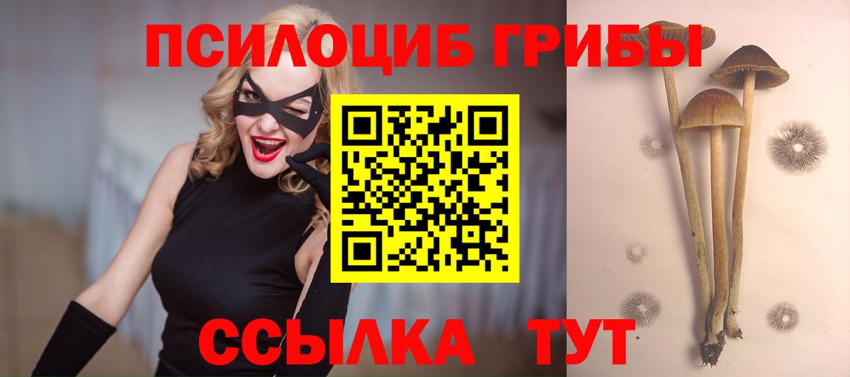 Псилоцибиновые грибы GOLDEN TEACHER  магазин  наркотиков  Вход с VPN  Улан-Удэ  Галлюциногенные грибы GOLDEN TEACHER 